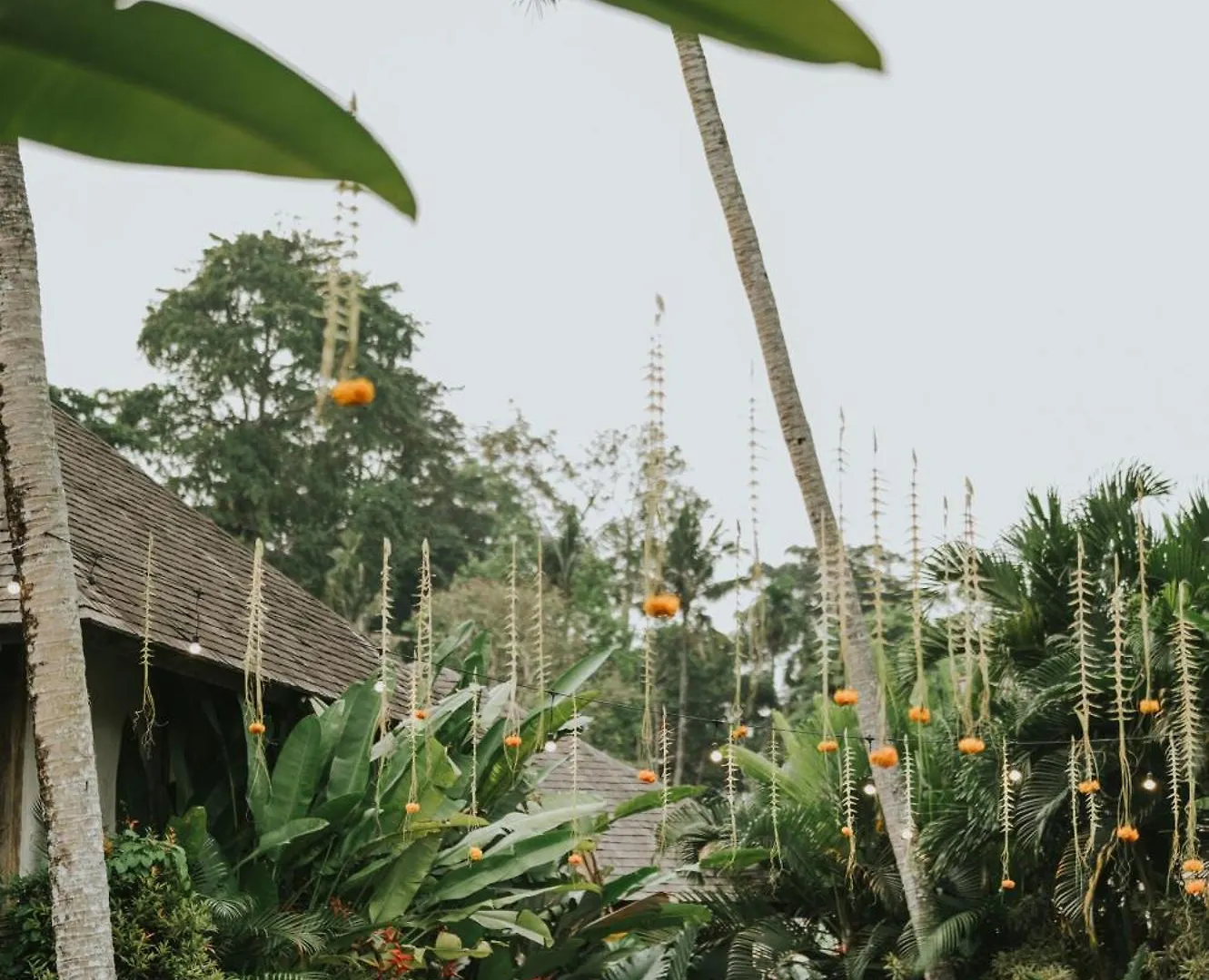 فيلة Bedulu Cliff Estate Ubud - Tree Top