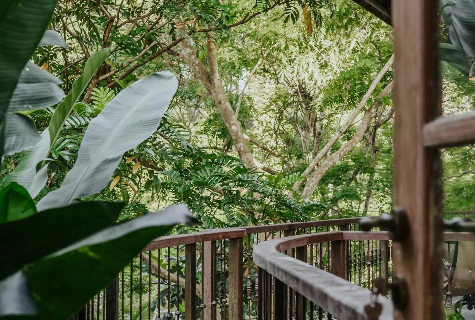 Bedulu Cliff Estate Ubud - Tree Top فيلة